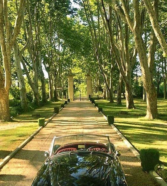 a car parked on the side of a road next to trees