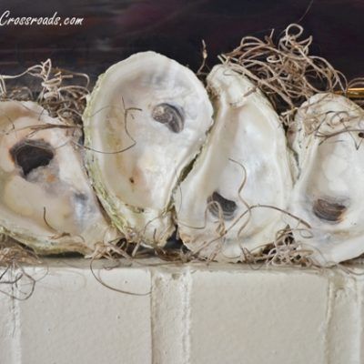 three oysters sitting on top of a white brick wall next to some seaweed