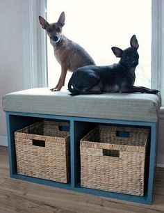 two dogs are sitting on a bench with baskets in front of them and one dog is looking out the window