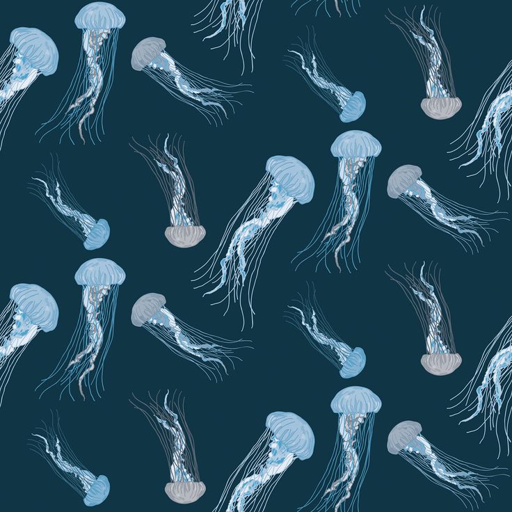 many jellyfish are swimming in the water