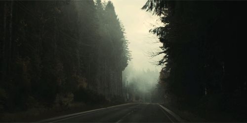 an empty road surrounded by trees and fog