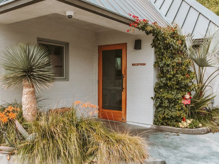 a white house with orange door and plants on the front porch, next to it is a palm tree