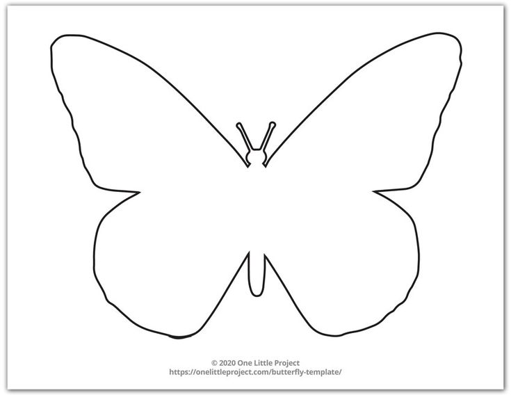 the outline of a butterfly that is drawn in black and white