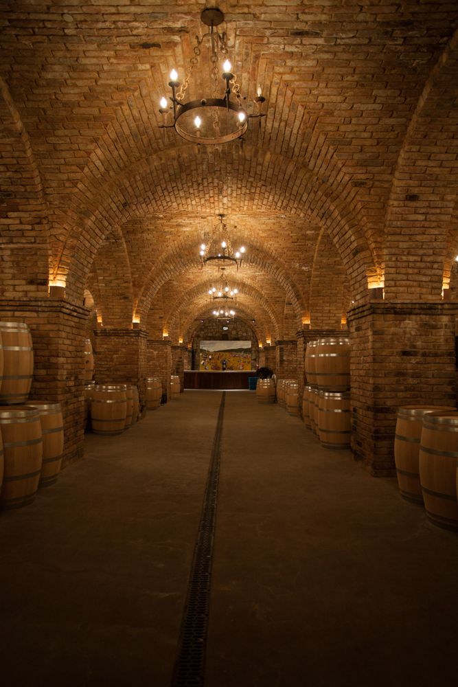 an old wine cellar with barrels and lights