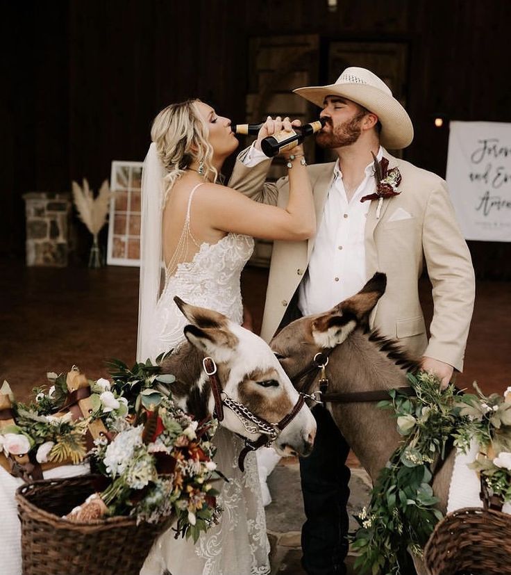 a bride and groom are standing next to donkeys