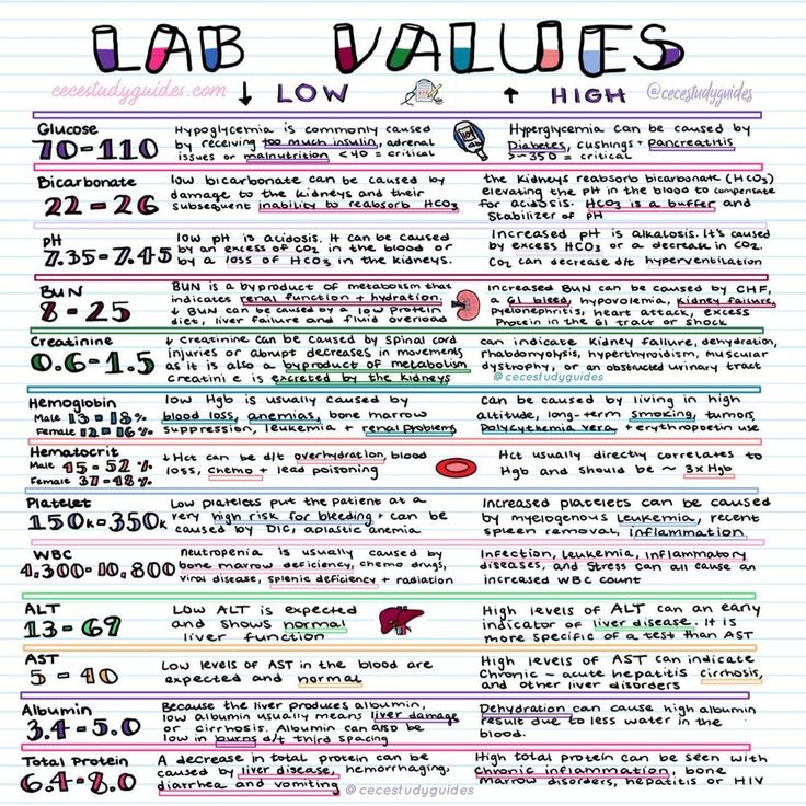 the lab value sheet for students to learn how to use their calculator and write numbers