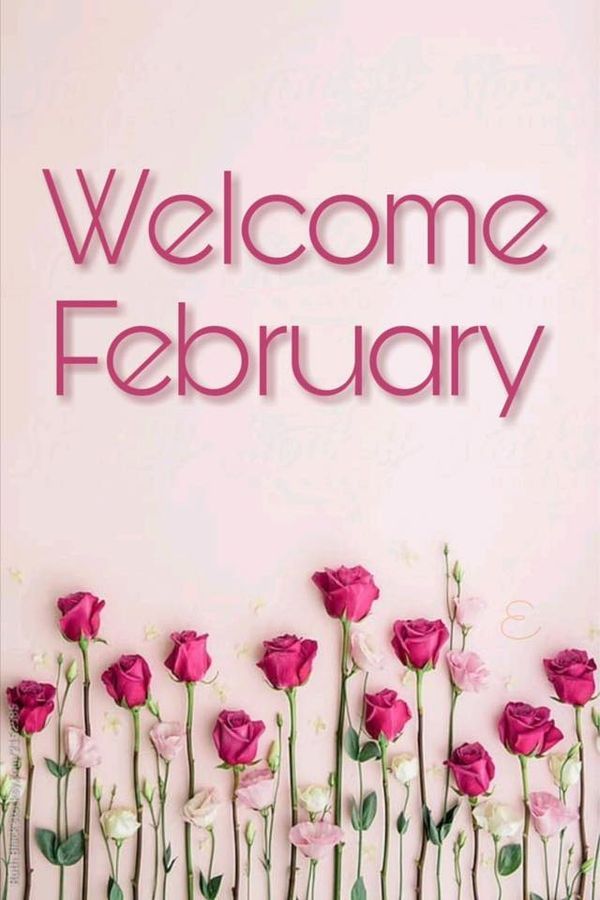 pink flowers are in front of the words welcome february on a white and pink background