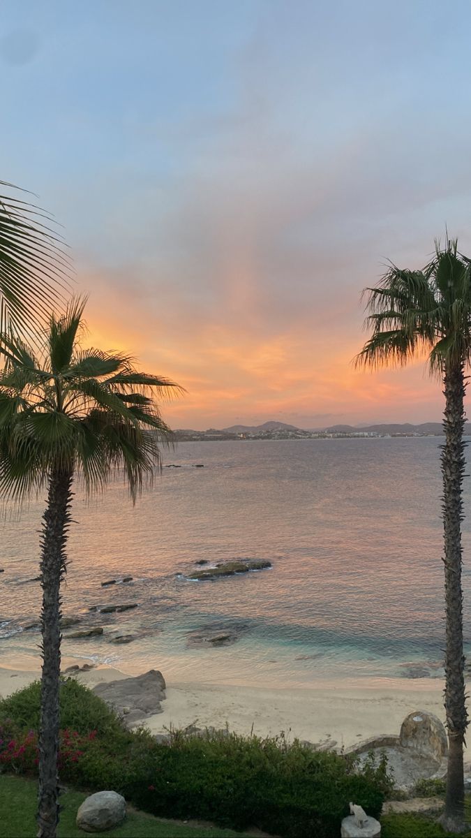 two palm trees in front of the ocean at sunset