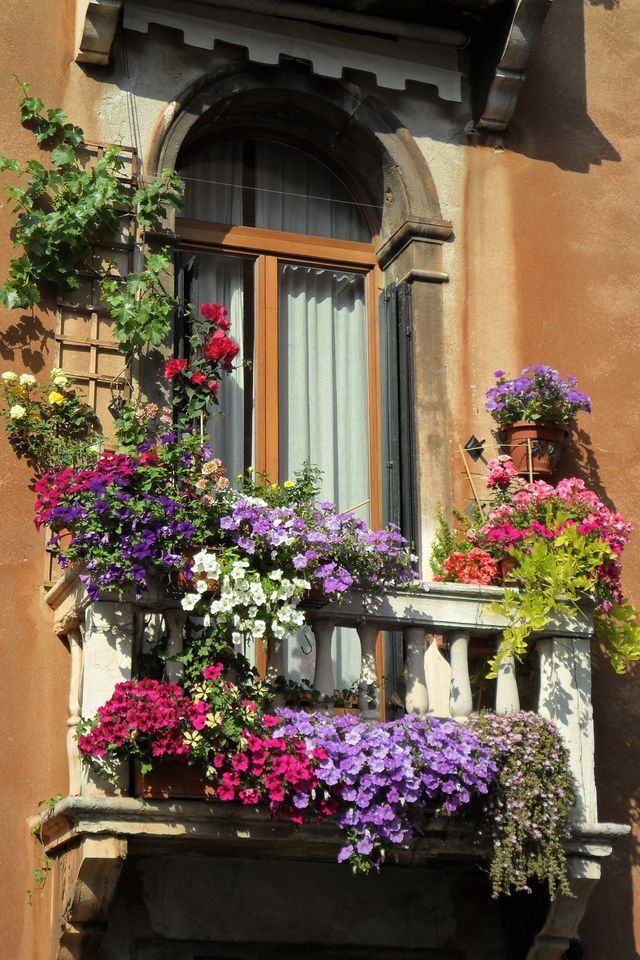 colorful flowers are growing on the balcony of an old building