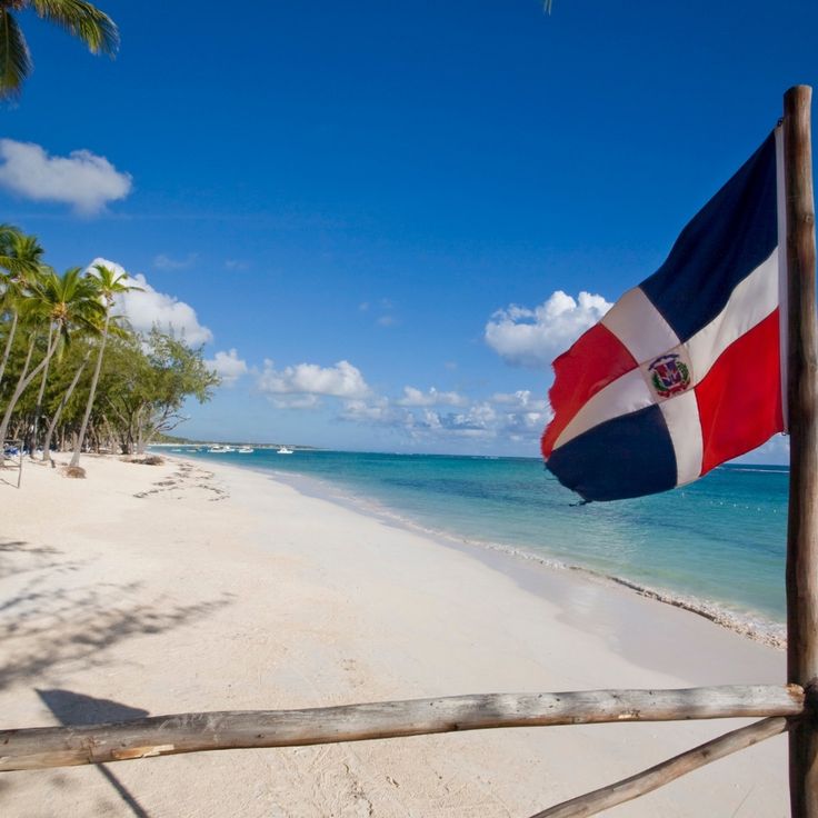 a flag on the beach with palm trees in the background