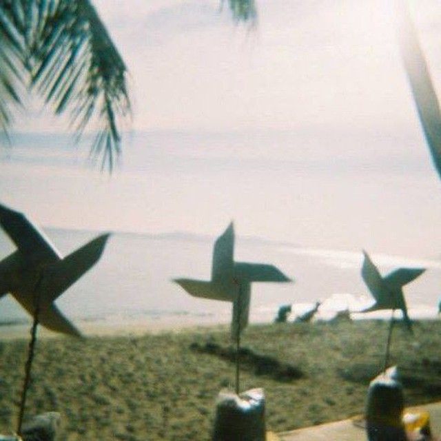 three metal birds sitting on top of a sandy beach next to the ocean and palm trees