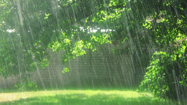 the rain is falling down in the park on a sunny day with green grass and trees