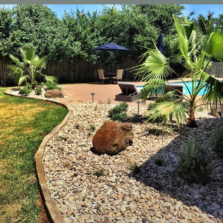 a backyard area with rocks, plants and a pool in the background is seen from across the yard