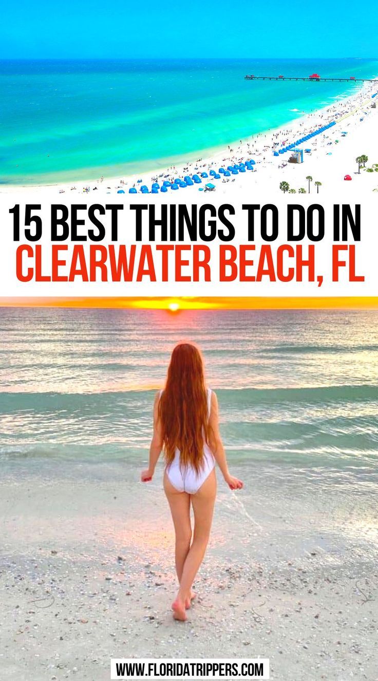 15 Best Things to Do in Clearwater Beach FL Clearwater Beach Florida In December, Things To Do In Clearwater Beach, Things To Do In Clearwater Florida, Clearwater Beach Florida Things To Do, Clearwater Beach Florida Restaurants, Clear Water Beach Florida, Clear Water Florida, Beach Bucket List, Beach Vacation Tips