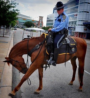 a police officer riding on the back of a brown horse down a street next to tall buildings