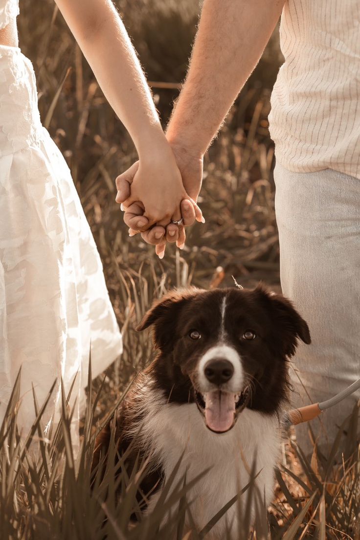 a man and woman holding hands with a dog