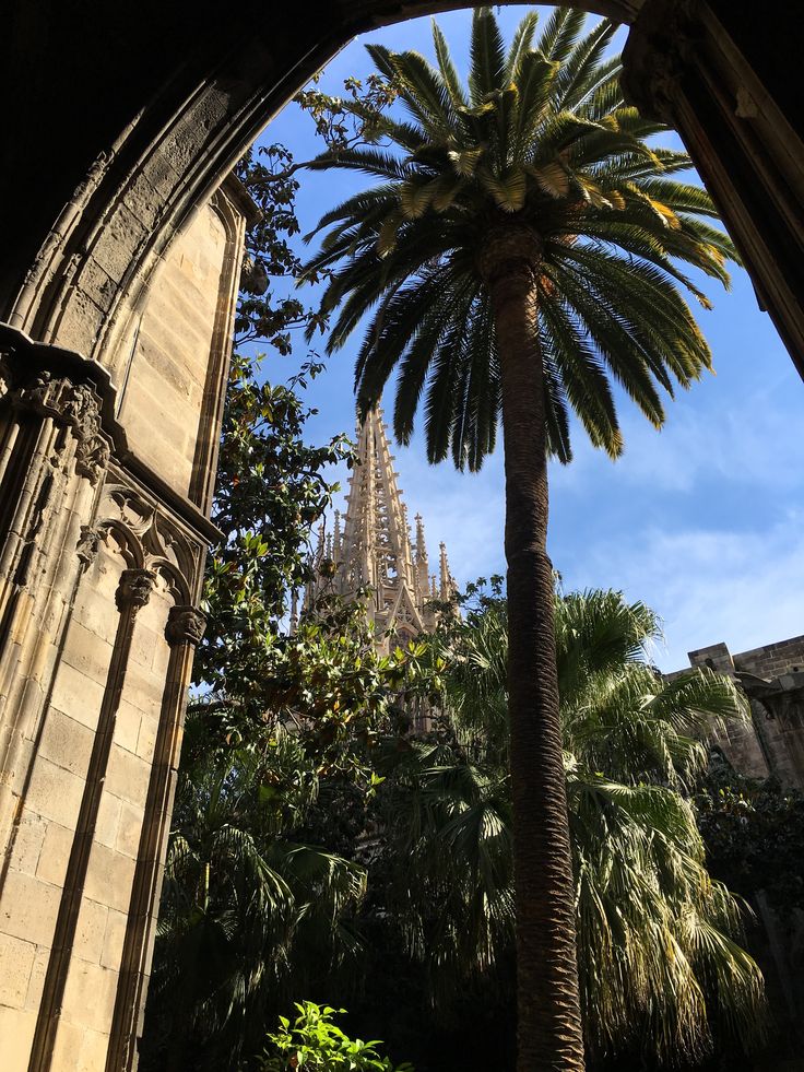 a palm tree in front of a tall building with many spires and trees around it