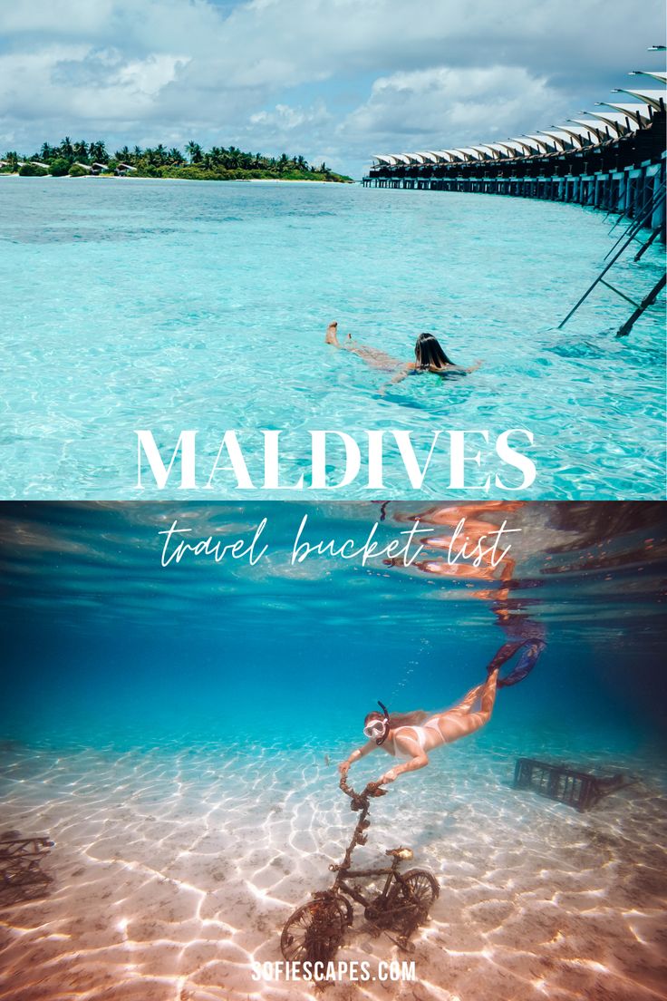 a man swimming in the ocean next to a pier with people on it and text that reads, maldiviss travel bucket list