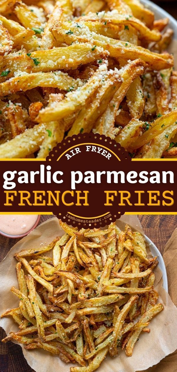 air fryer garlic parmesan french fries on a plate with the title above it