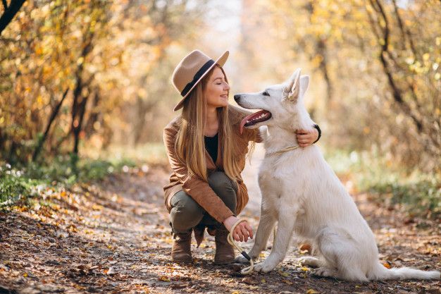 a woman kneeling down next to a white dog on a forest path with trees in the background