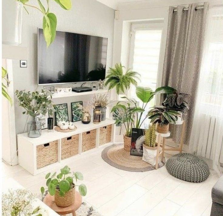 a living room filled with lots of plants next to a flat screen tv mounted on a wall