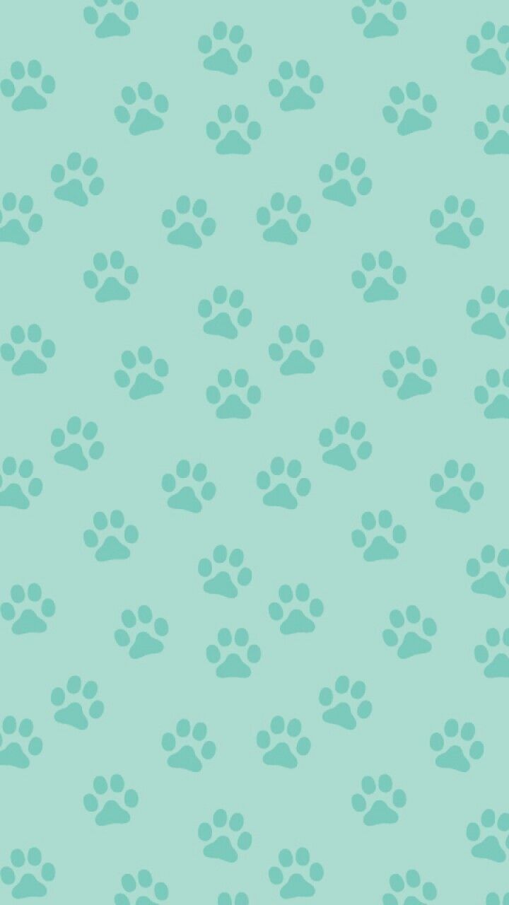 a green background with many paw prints on it