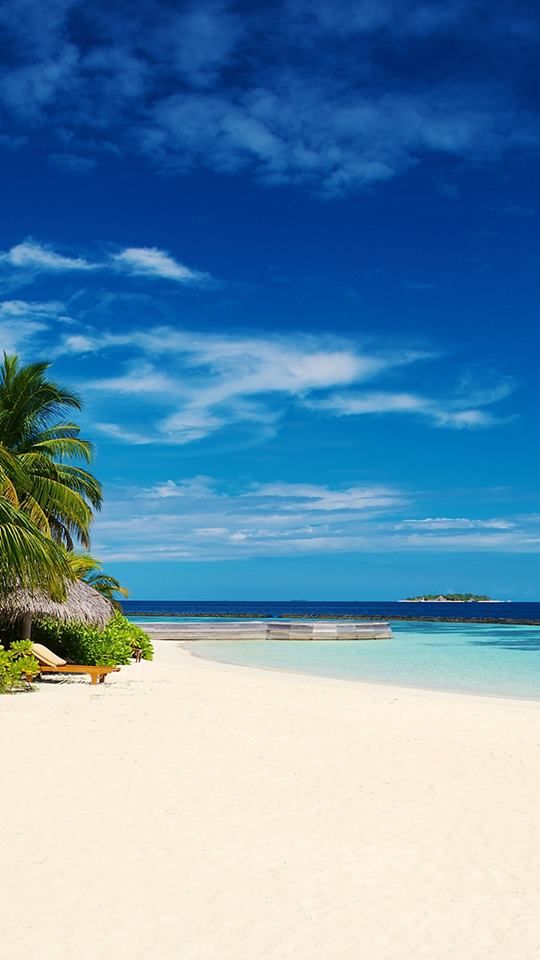 the beach is lined with palm trees and thatched umbrellas on it's sides