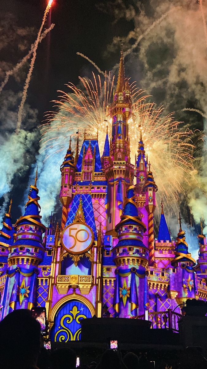 fireworks light up the sky above a castle