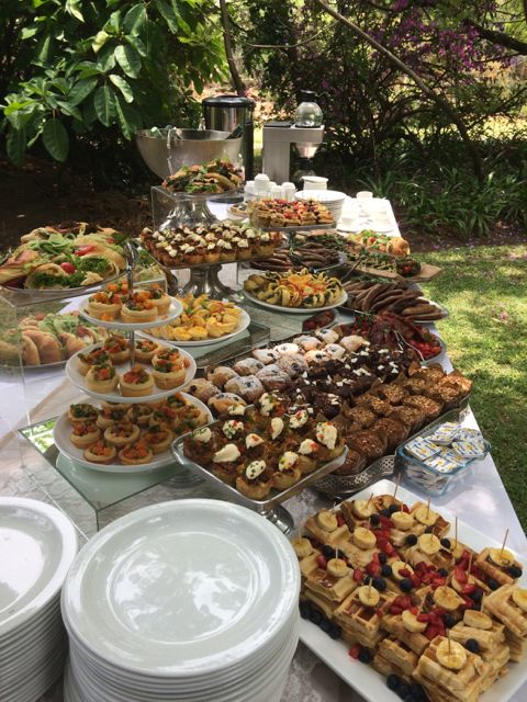 a table filled with lots of food on top of a grass covered field next to trees