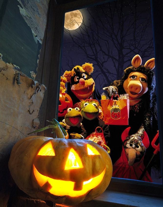 the muppets and miss piggy are dressed up as halloween characters in front of an open window