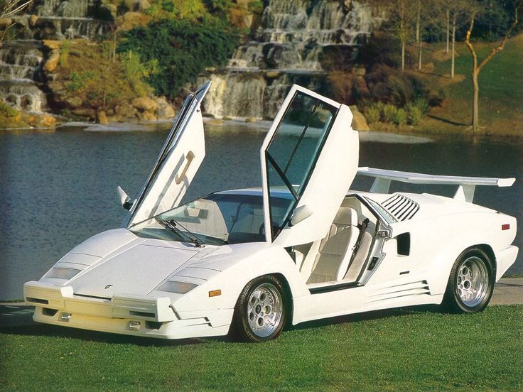 a white sports car with its doors open sitting in the grass near some water and trees