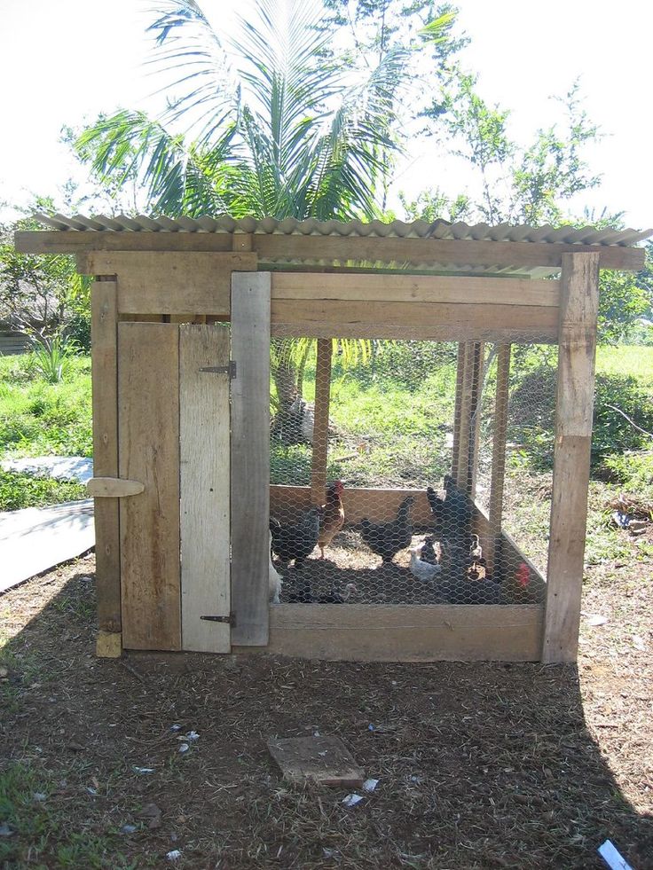 several chickens in a chicken coop on the ground