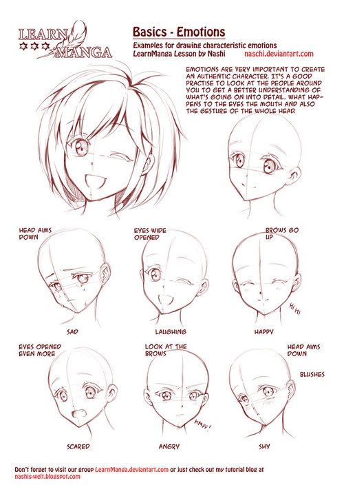 an anime character's head with different facial expressions and hair styles, as well as the