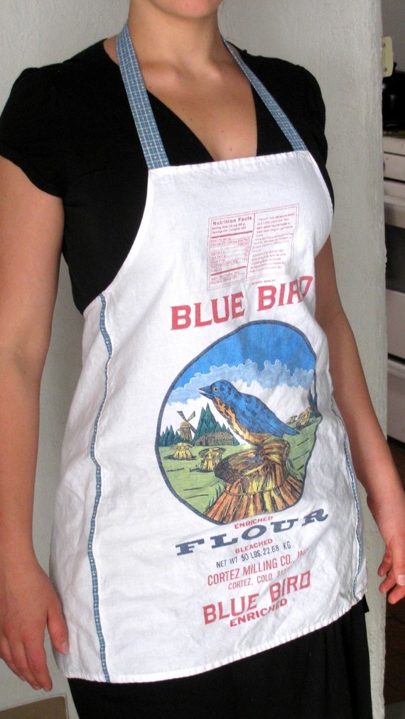 a woman wearing an apron with blue bird on it's front and back, standing next to a wall