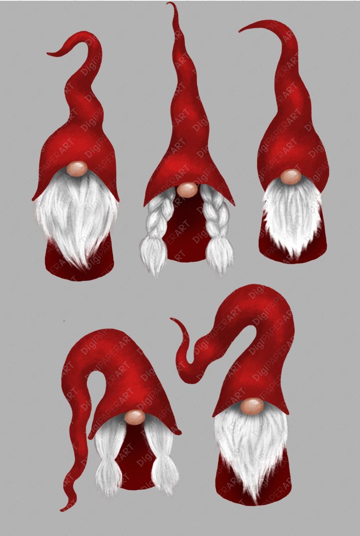 red and white gnome's hats with long hair, beards and nose shapes