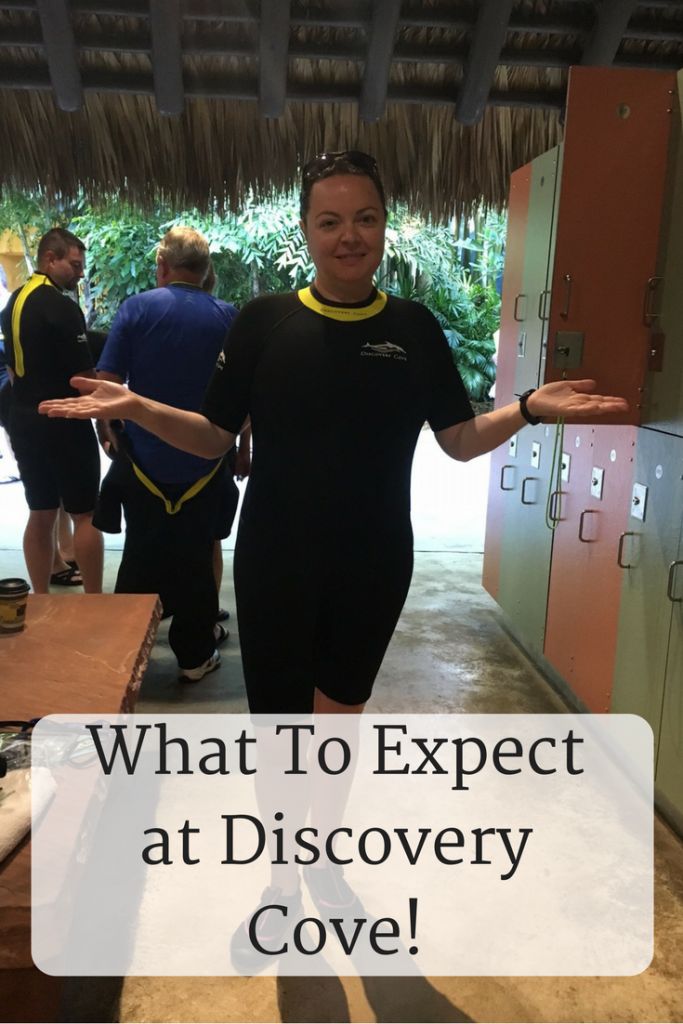 a man standing in front of lockers with the words what to expect at discovery cove