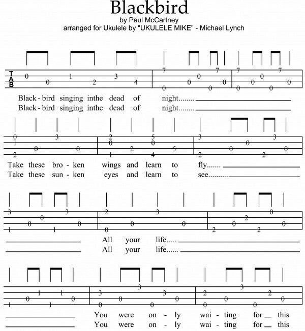 sheet music with the words blackbird written on it and an image of two different lines