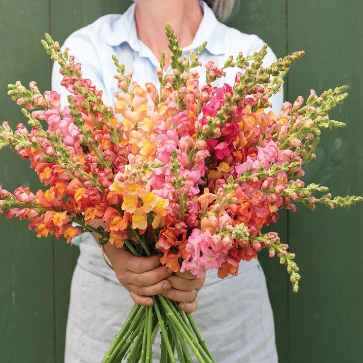 a woman holding a bouquet of flowers in front of a green wall and wearing a blue shirt