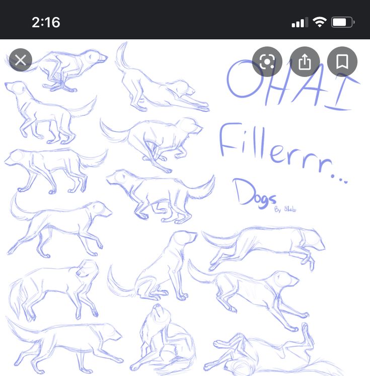 sketches of dogs running and jumping with the words ohat fillern in blue ink