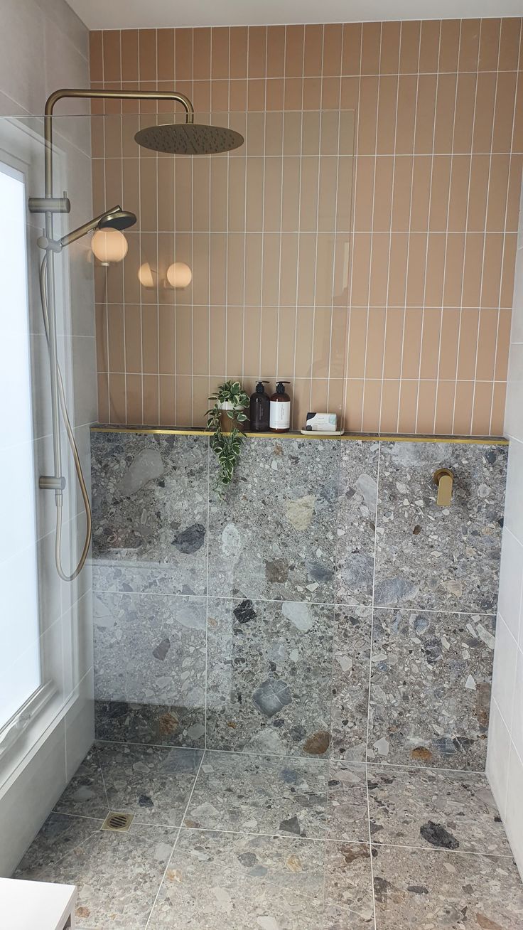 a bathroom with a walk in shower next to a toilet