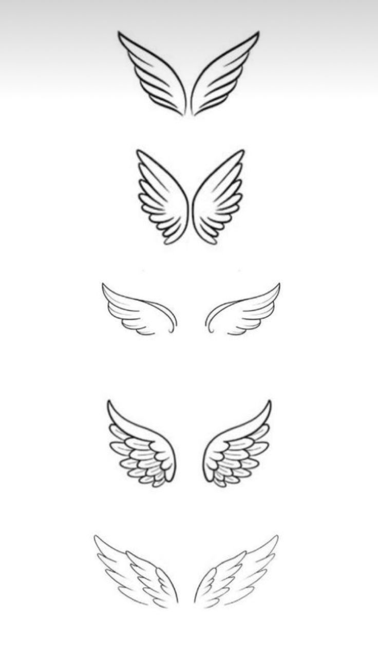 four different types of wings on a white background