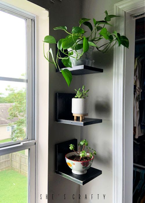 three shelves with plants on them in front of a window