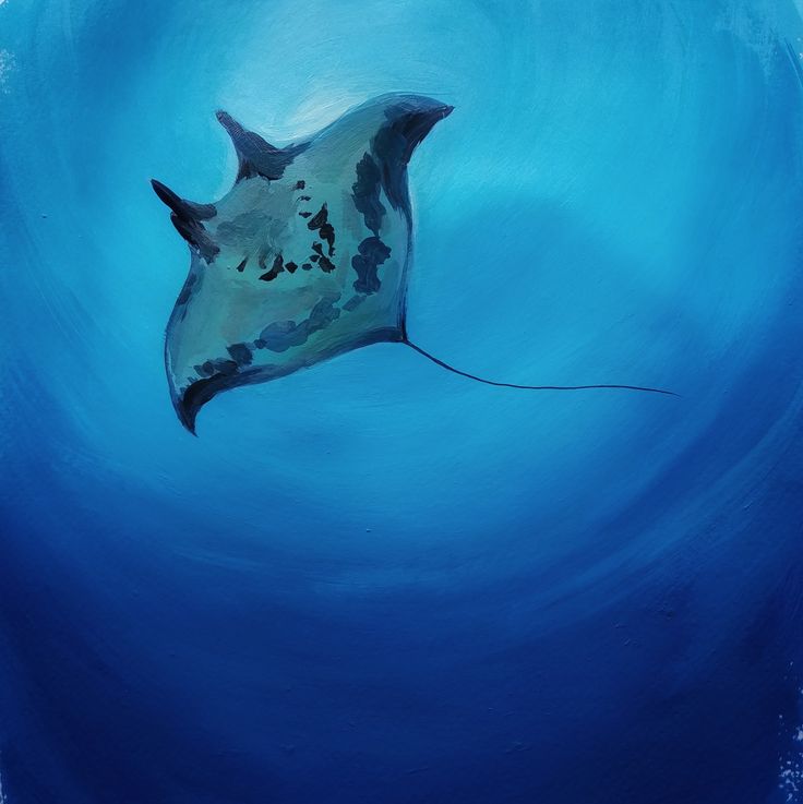 a painting of a manta ray swimming in the blue water with bubbles around it