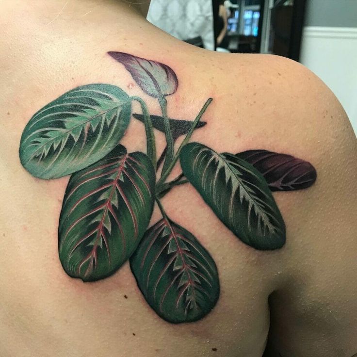 a close up of a person's upper back with leaves on the top and bottom