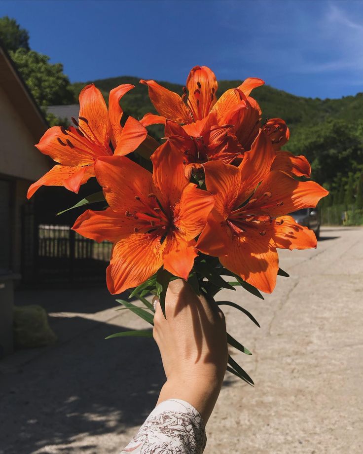 a person holding up a bunch of orange flowers