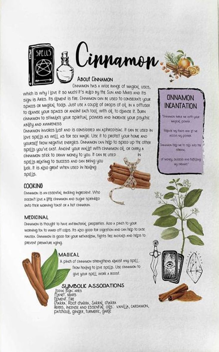 Cinnamon Cinnamon Magic, Magickal Herbs, Witch Herbs, Magia Das Ervas, Green Witchcraft, Witchcraft Books, Wiccan Magic, Magic Herbs, Magical Herbs