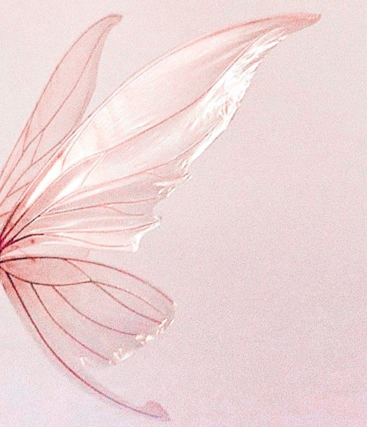 a pink butterfly flying through the air with its wings spread out and it's back end