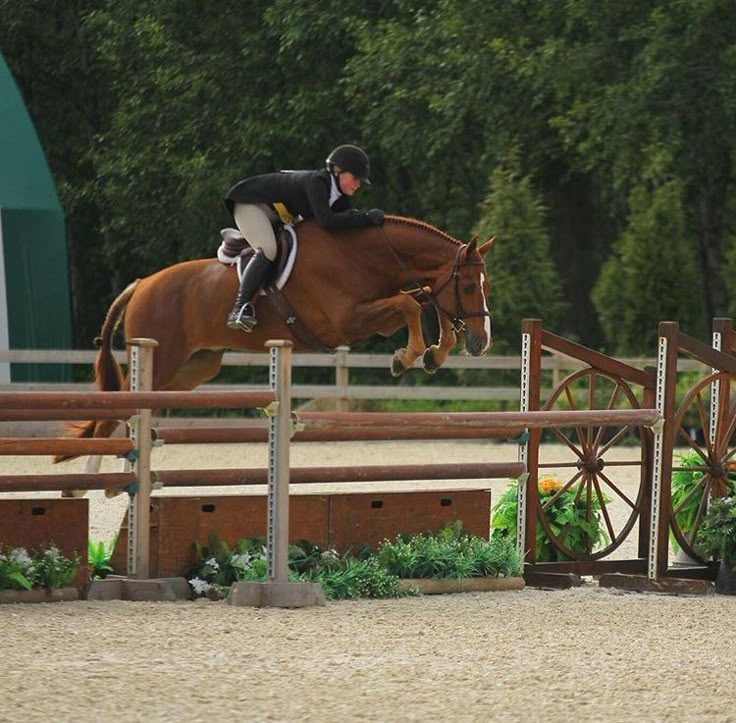 a person jumping a horse over an obstacle