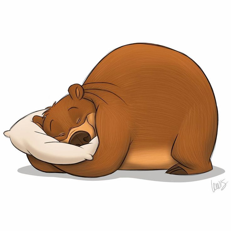 a brown bear sleeping on top of a pillow with the caption good night sweet dreams