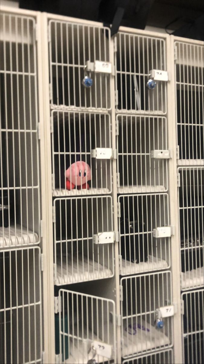 several cages with stuffed animals in them and one pink pig sitting on the other side